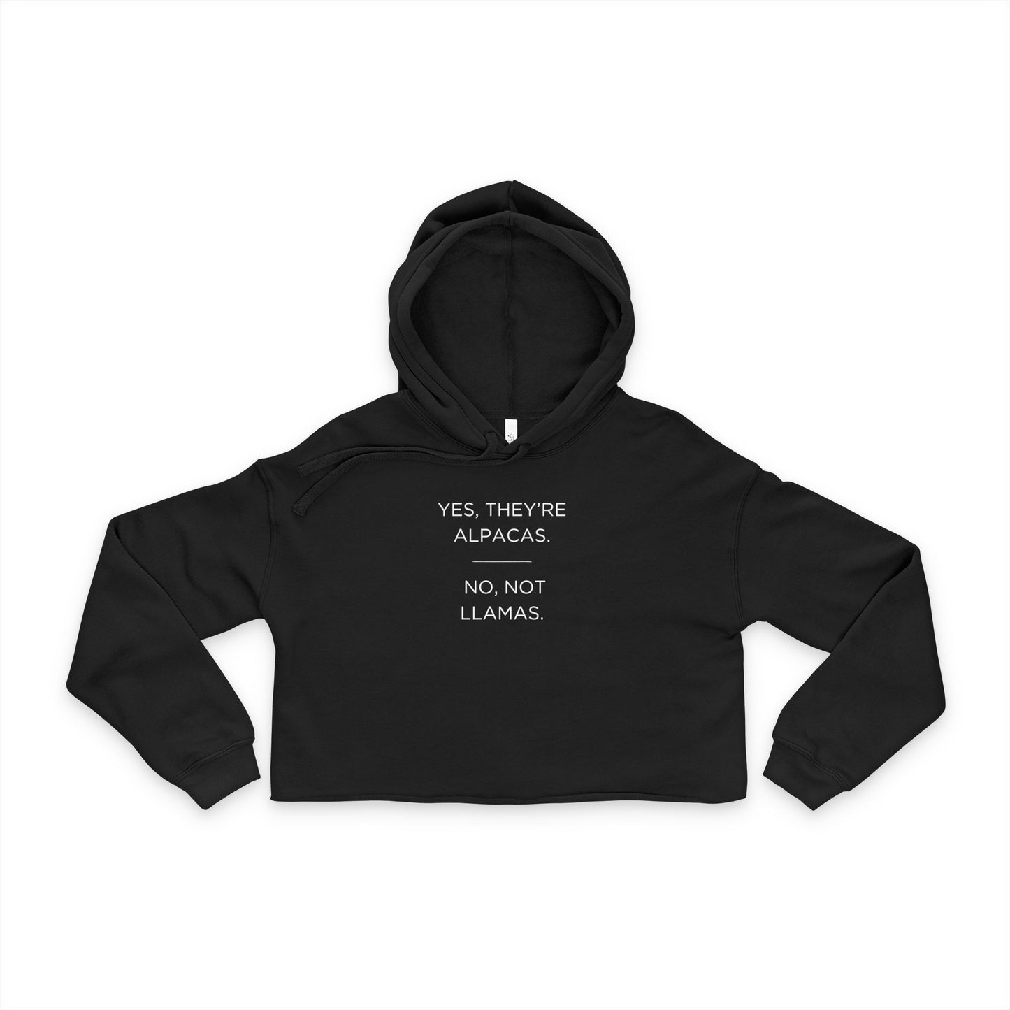Cropped Hoodie — "Yes, They're Alpacas. No, Not Llamas." Cute Alpaca Graphic